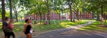 Harvard students walking on campus