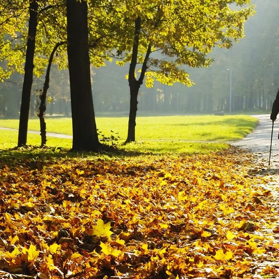 Two older people walking outdoors in the autumn.