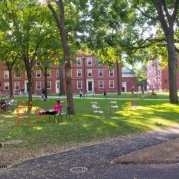 Harvard students walking on campus