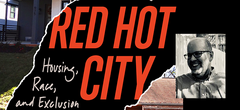 Red Hot City Immergluck Book