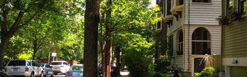 View of a shaded residential street in Cambridge, MA.